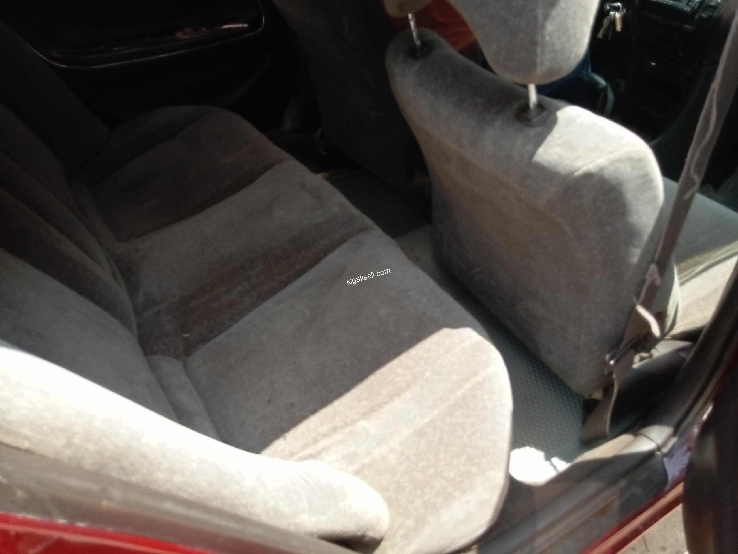 IMG_20251019_115608_966