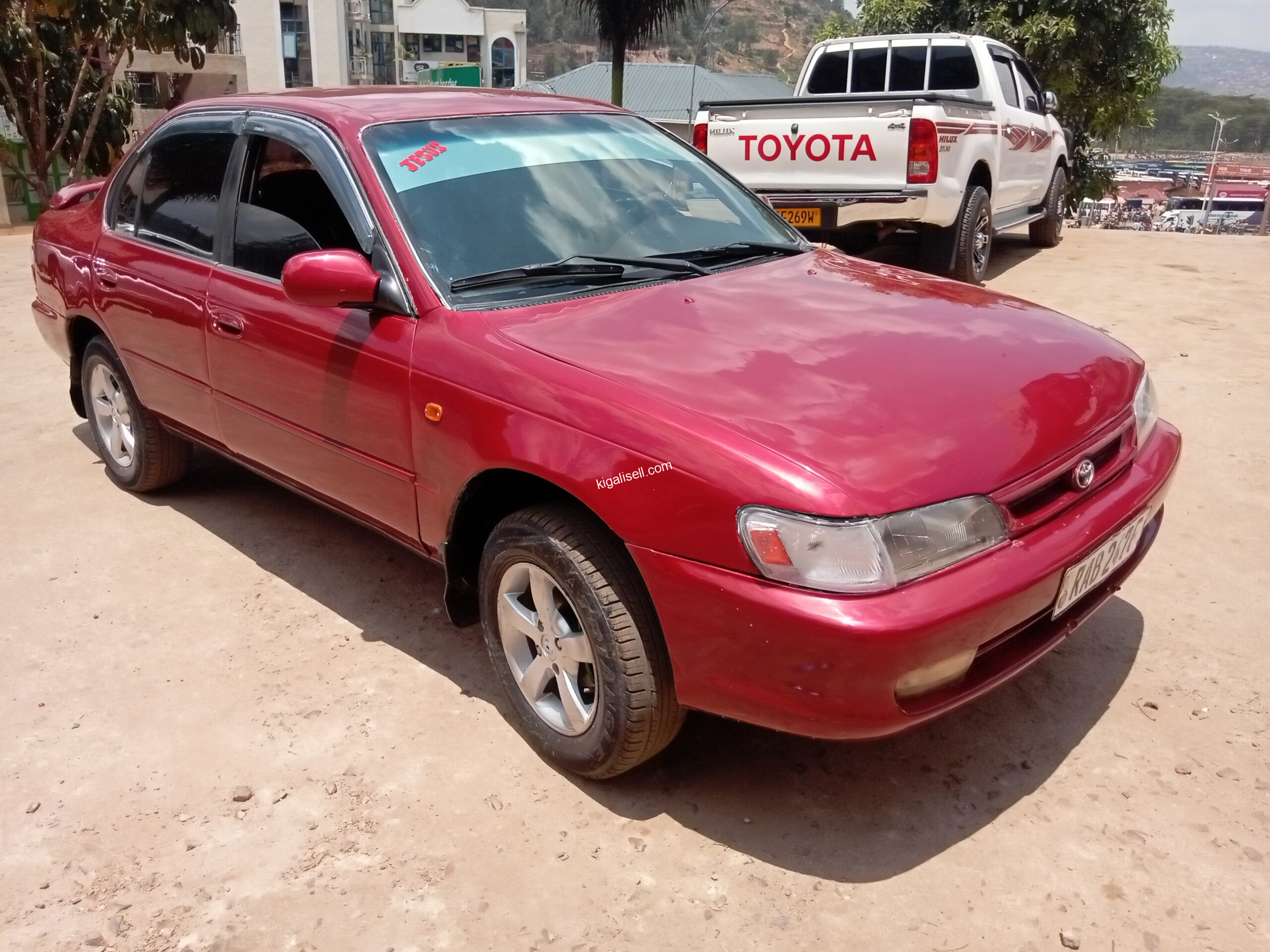 IMG_20251019_115554_067