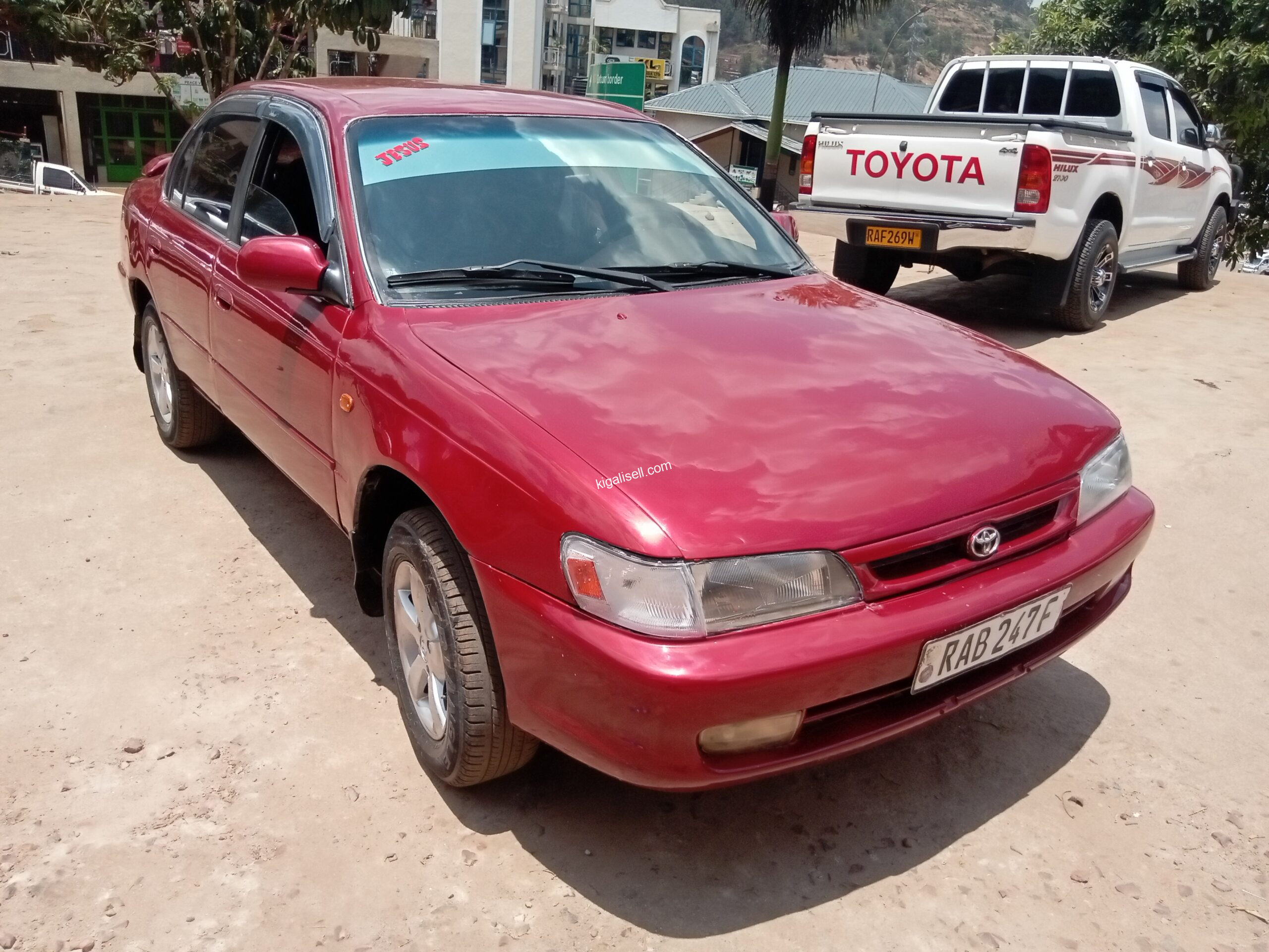 IMG_20251019_115558_090