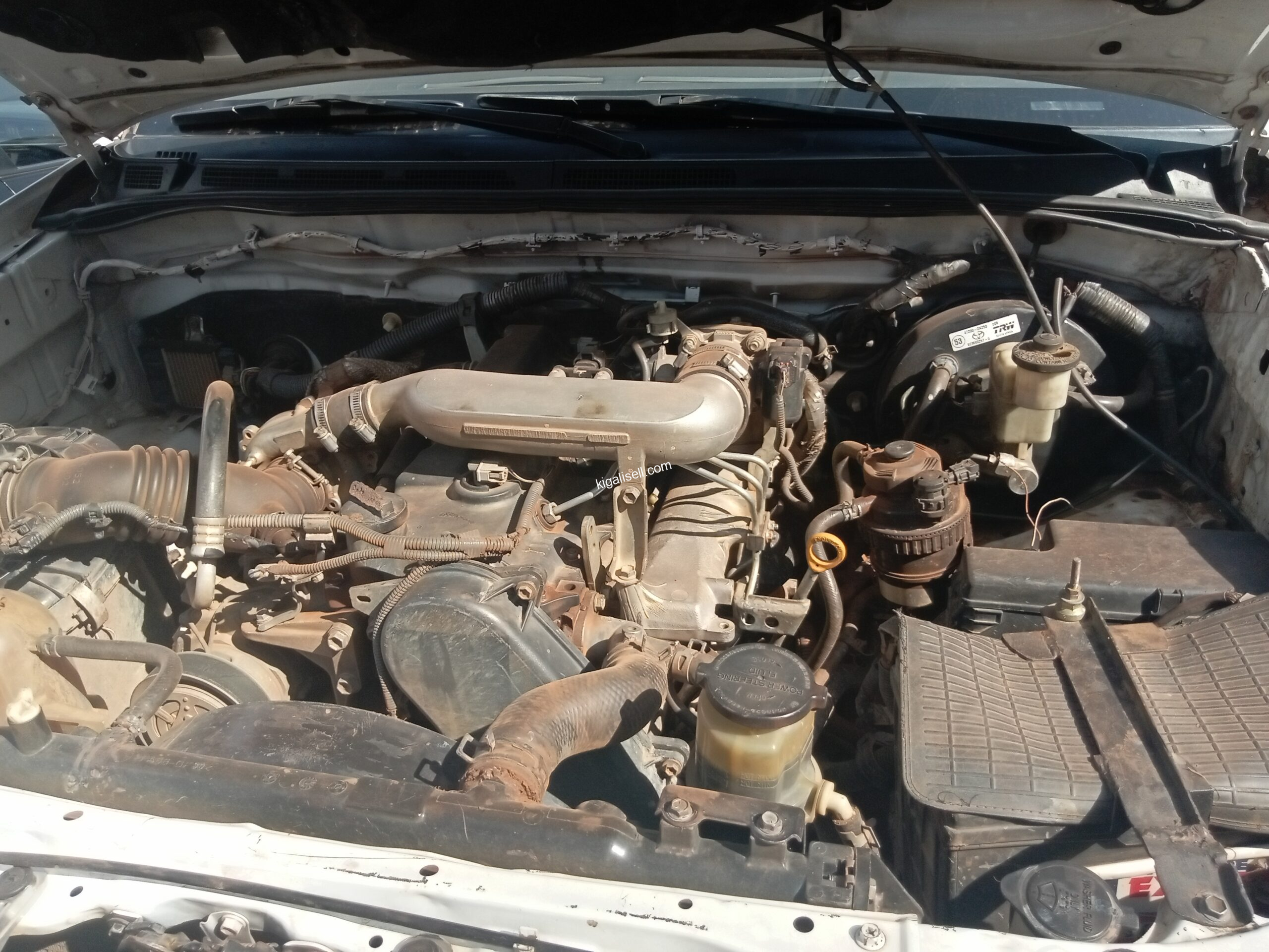 IMG_20251019_144422_898