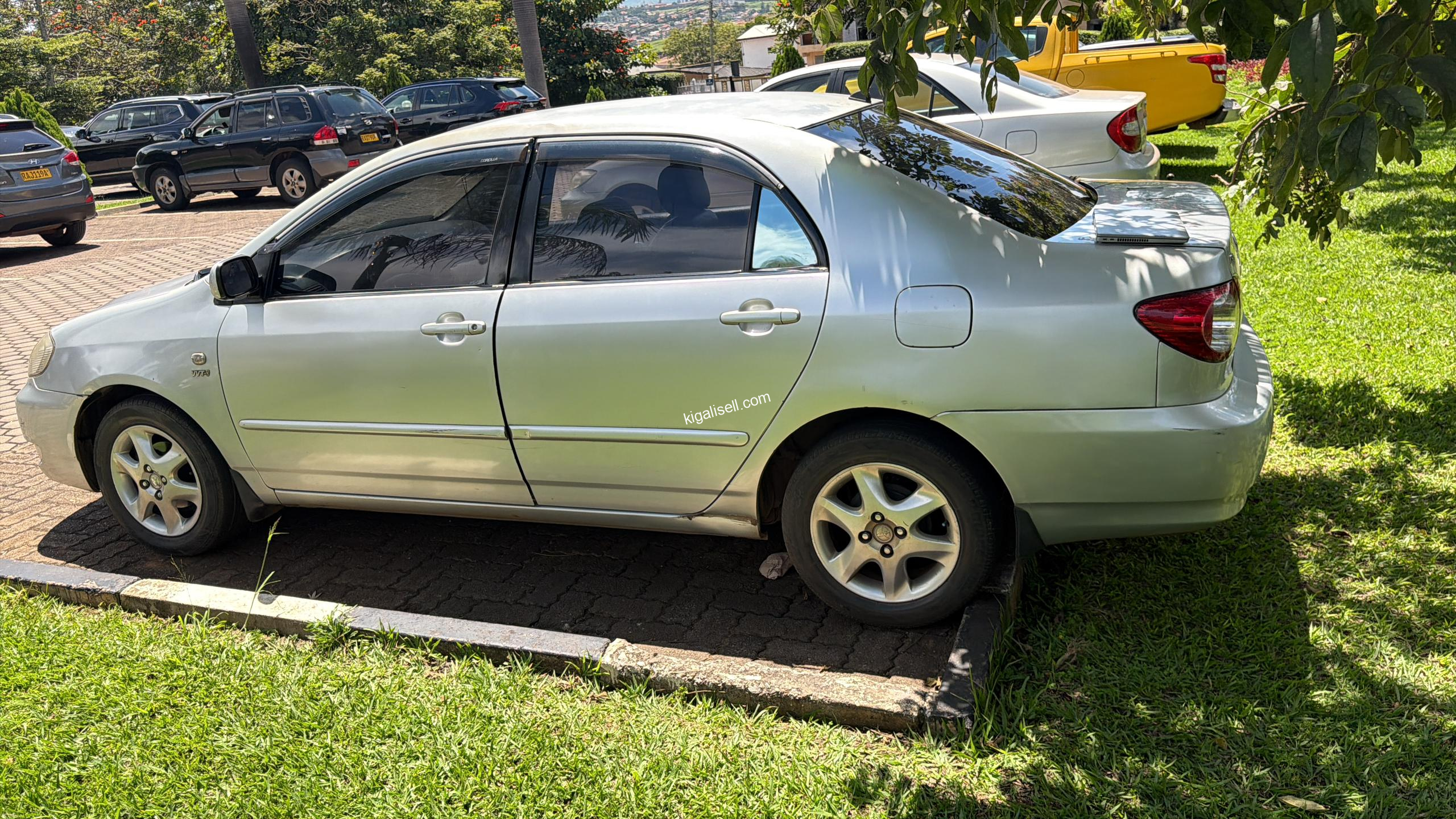 IMG-20260512-WA0032