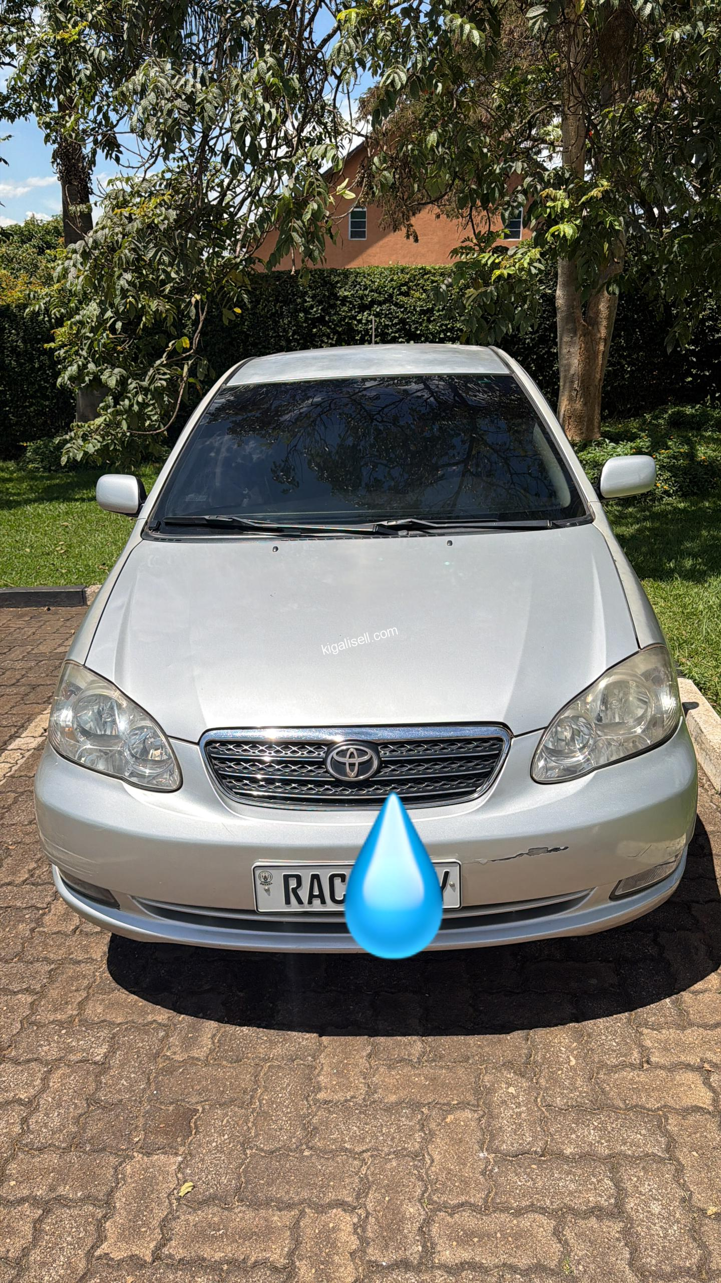 IMG-20260512-WA0035